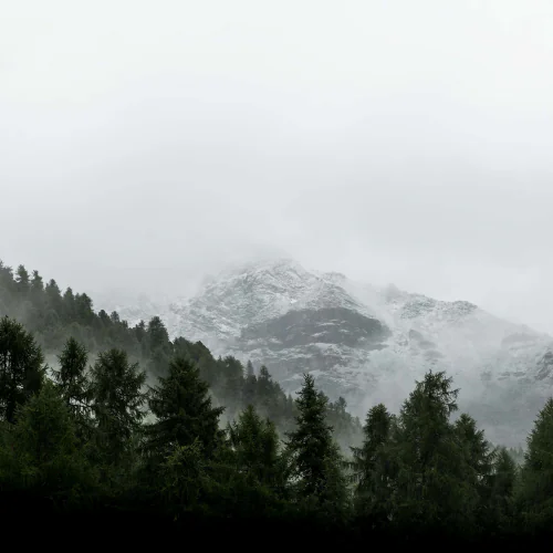 Boletim informativo pop-up