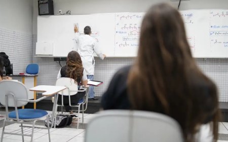 MEC disponibiliza mais de 402 mil bolsas para o Prouni