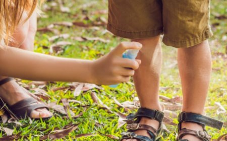 Dengue: tire as principais dúvidas sobre a doença e tratamento.