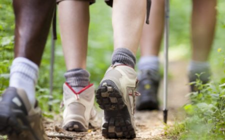 Quantos passos preciso dar por dia? Pesquisa acompanha 6 mil pessoas e define meta