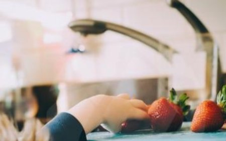 Crianças que comem mais frutas e vegetais têm melhor saúde mental, diz estudo.