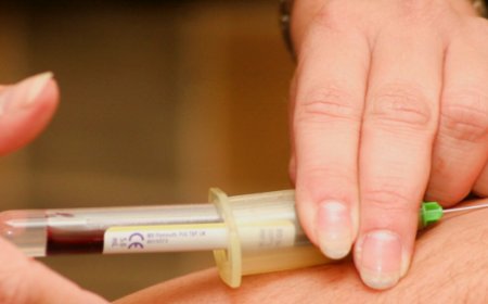 Triglicerídeos: saiba o que são, as taxas ideais e os riscos do nível elevado.