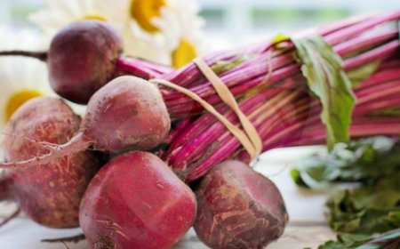 Dieta rica em beterraba regula microbioma bucal e melhora funções cardiovasculares e cognitivas