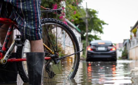 Saiba como diferenciar os sintomas de dengue e de leptospirose
