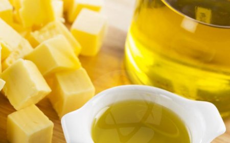 Gordura de origem vegetal ou animal: qual merece mais espaço no cardápio?