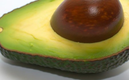 Abacate é remoso? Desvendando mitos sobre essa fruta