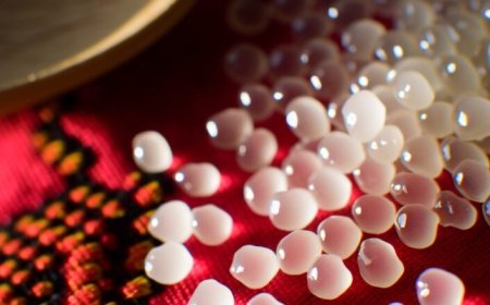 Tapioca engorda ou não? Mitos e verdades revelados