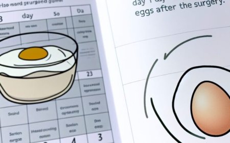 Quantos dias depois da cirurgia pode comer ovo?