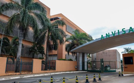 Anvisa aprova novo medicamento para epilepsia farmacorresistente em adultos