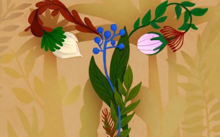 Microbioma vaginal pode influenciar fertilidade e saúde