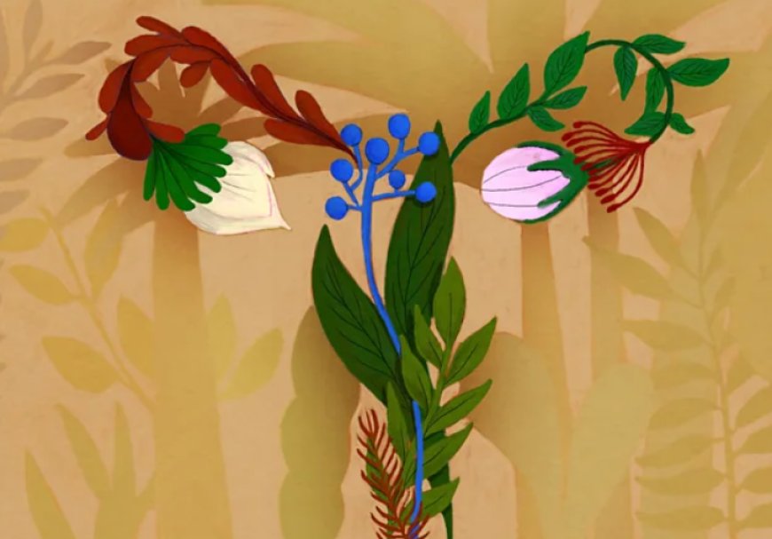 Microbioma vaginal pode influenciar fertilidade e saúde