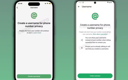 Brasileiros começam a receber aviso do WhatsApp para criar nome de usuário
