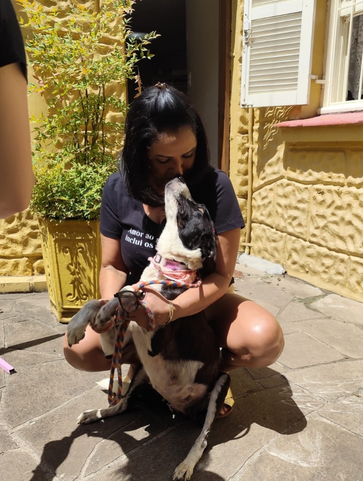 Vereadora defensora de animais recebe cão morto em caixa