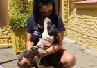 Vereadora defensora de animais recebe cão morto em caixa
