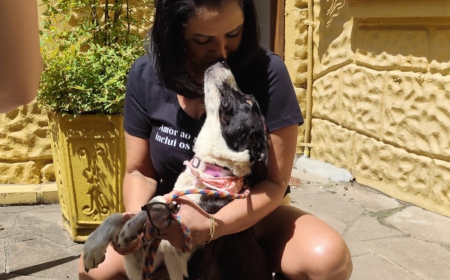 Vereadora defensora de animais recebe cão morto em caixa