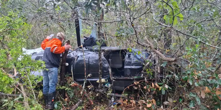 Helicóptero cai e passageiro aciona socorro em mata em SP 