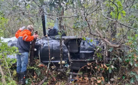 Helicóptero cai e passageiro aciona socorro em mata em SP 